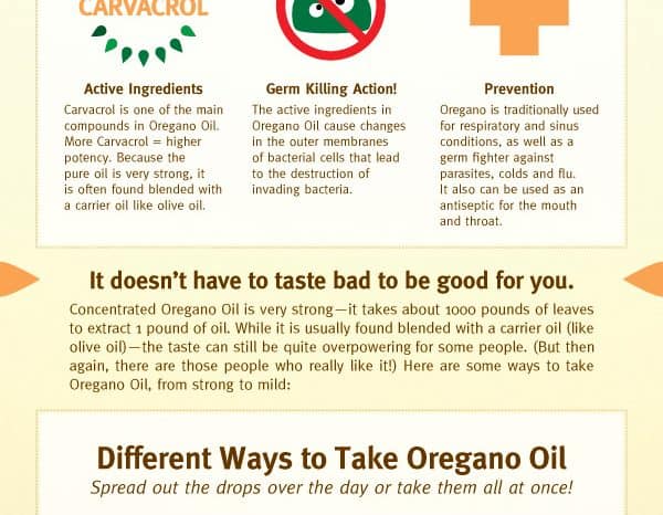 A Practical Guide to Oregano Oil