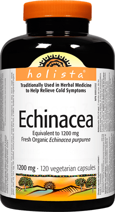 Echinacea