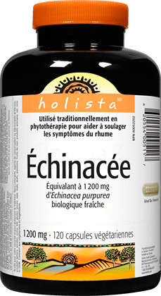 Échinacée